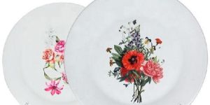 Ceramic Dinner Plates