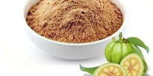 Garcinia Cambogia Extract