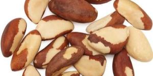 Brazil Nuts