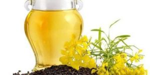 Rapeseed Oil