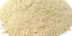 Mushroom Powder