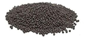Black Mustard Seeds