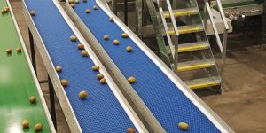 Plastic Modular Belt