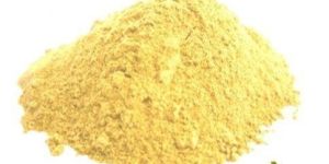 Spray Dried Alphonso Mango Powder