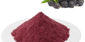 Spray Dried Blackberry Powder