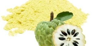 Spray Dried Custard Apple Powder