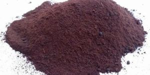 Spray Dried Jamun Powder