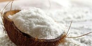 Spray Dried Tender Powder