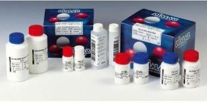 Diagnostic Reagents