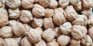 Kabuli Chickpeas (Garbanzo Beans)