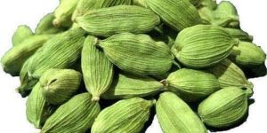 Green Cardamom