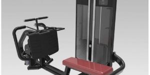Low Row Machine