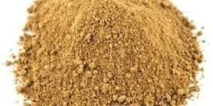 Amchur Powder