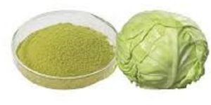 Cabbage Powder
