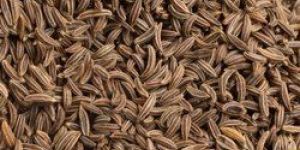 Caraway Seeds