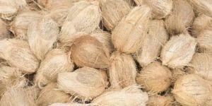 Semi Husked Coconuts