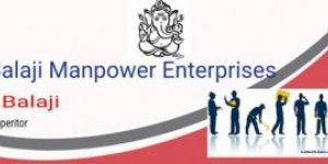 Manpower Services