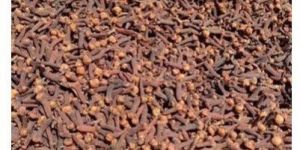 Dry Cloves