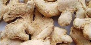 Dry Ginger