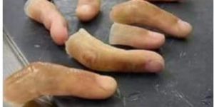 Artificial Finger