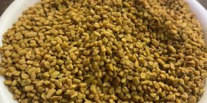 Fenugreek Seed