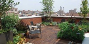 Terrace Garden Designing Service