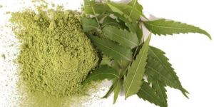 Neem Patra Powder