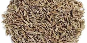 White Cumin Seeds
