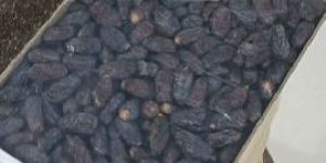 a Grade Black Kalmi Dates