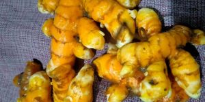 Kerala Raw Turmeric