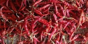Dry Chilli