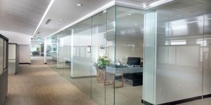 Office Glass Partition