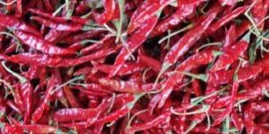 Red Chilli