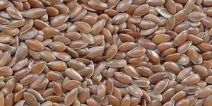 Flax Seeds