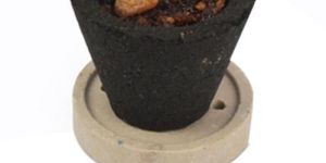 Masala Filled Sambrani Cups