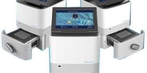 Real Time PCR System