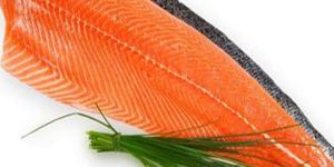 Norwegian Salmon Fish