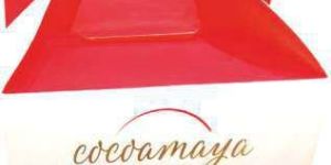 Cake Box with Handle