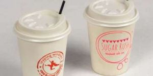 Screen Printed Paper Glass