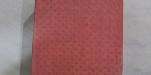 Designer Paver Block