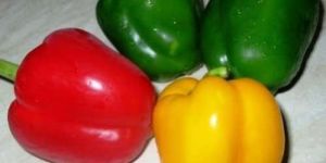 Coloured Capsicum