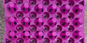 Plastic Egg Tray