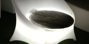 LED Illuminated Chair