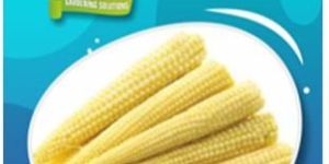 Baby Corn Seeds