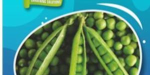 Peas Seeds