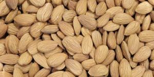 Almond Nut