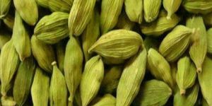 Green Cardamom