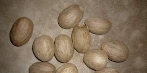 Nutmeg Jaiphal