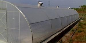 Solar Tunnel Dryer