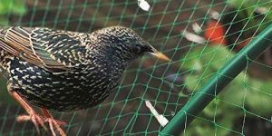 Bird Protection Net